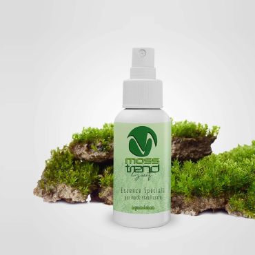 Legnoso ambrato - essenza per verde stabilizzato